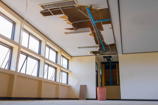 Best Water damage contractors near me  in China Grove, NC