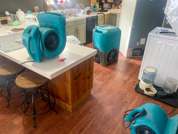 Best Professional water damage repair  in China Grove, NC